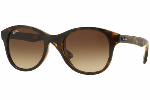 Ray-Ban RB4203 710/13 - Velikost ONE SIZE Ray-Ban
