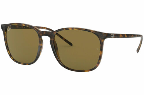Ray-Ban RB4387 710/73 - Velikost ONE SIZE Ray-Ban