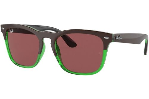 Ray-Ban Steve RB4487 663469 - ONE SIZE (54) Ray-Ban