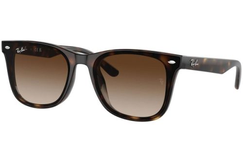 Ray-Ban RB4420 710/13 - ONE SIZE (65) Ray-Ban