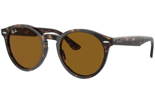 Ray-Ban Larry RB7680S 902/33 - M (49) Ray-Ban